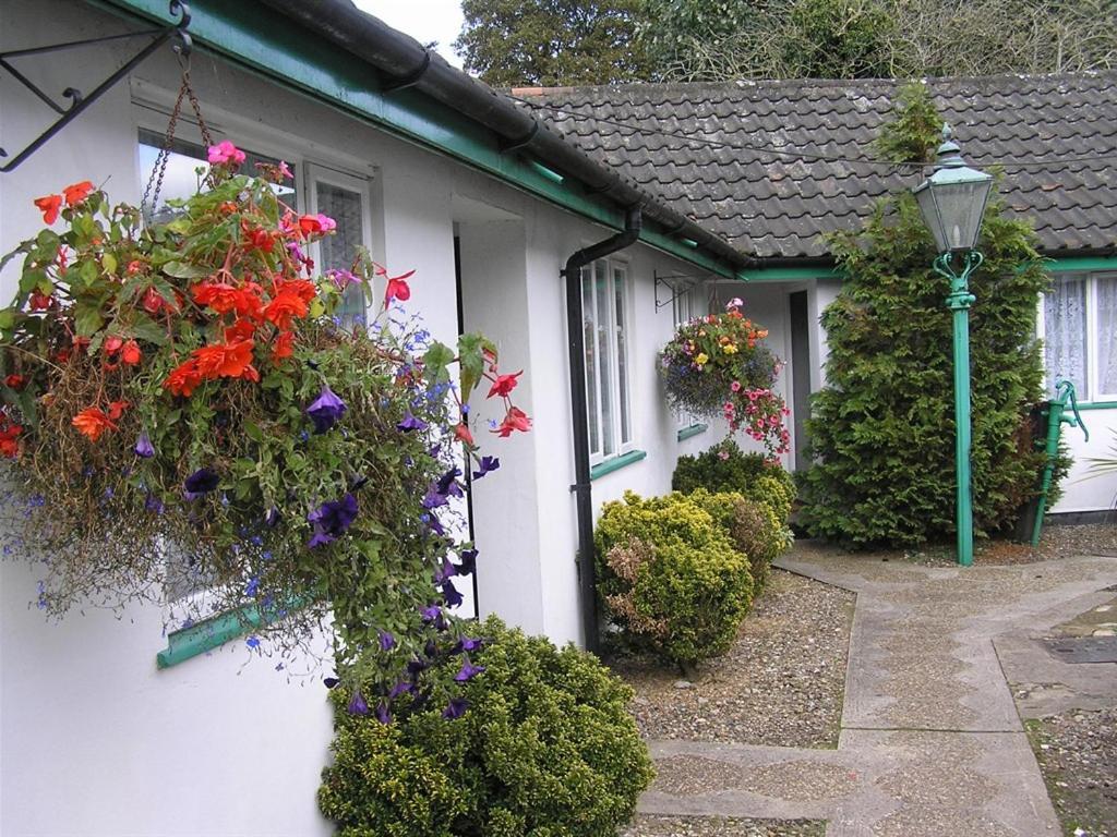 The Willow House Watton Zewnętrze zdjęcie